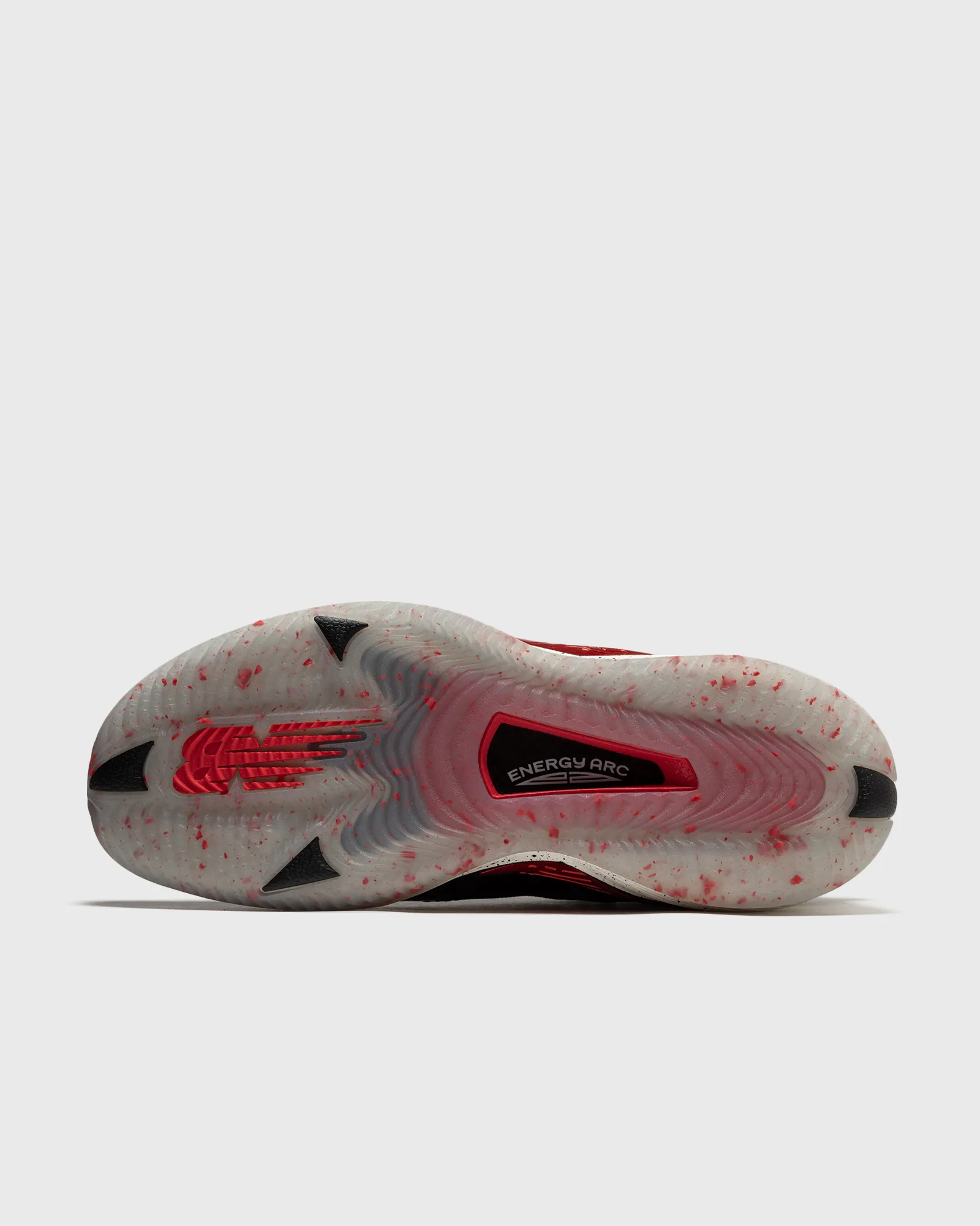 BBKLTB3 'Alpha Predator' 4 BBKLTB3 'Alpha Predator'