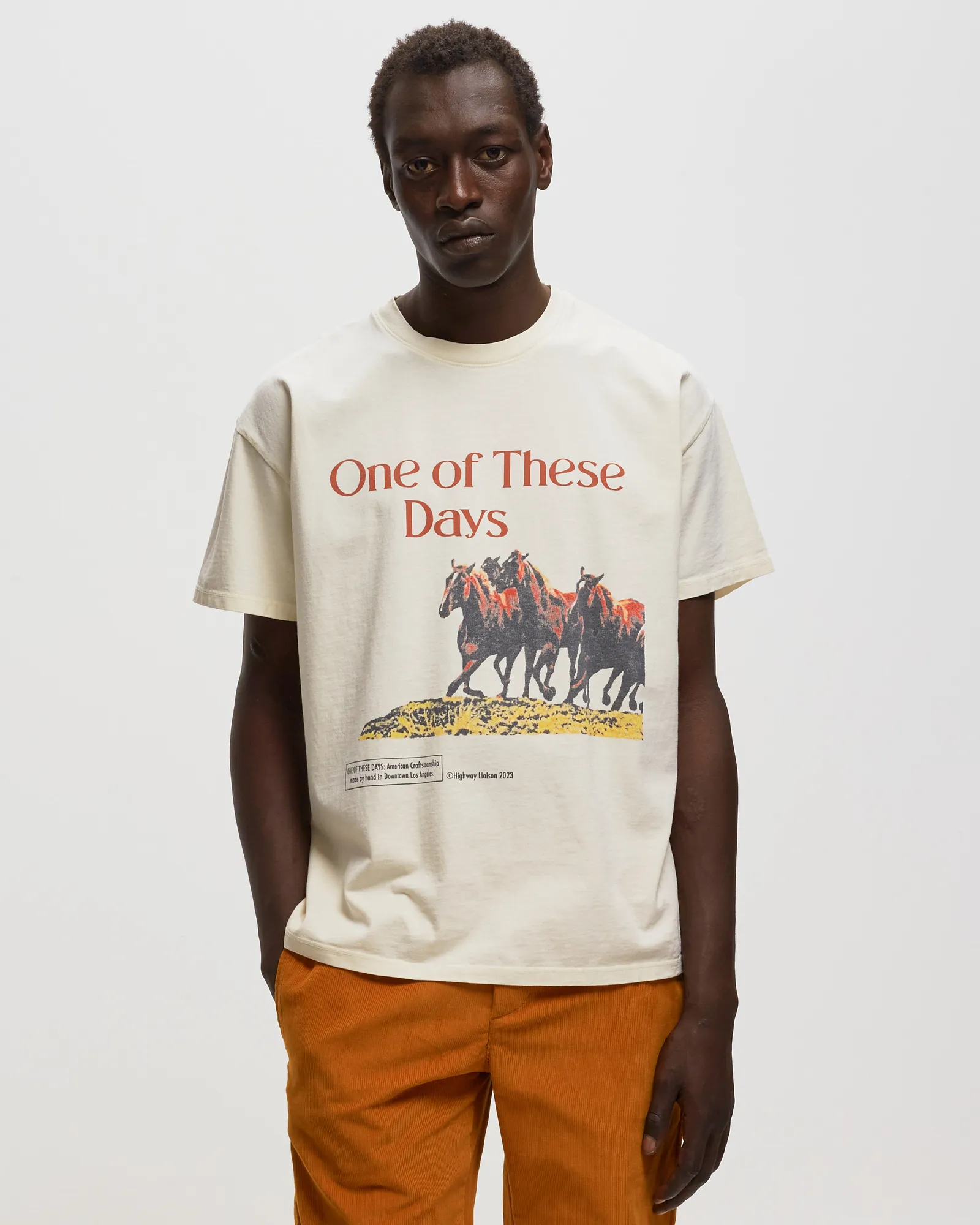 WILD HORSES T-SHIRT