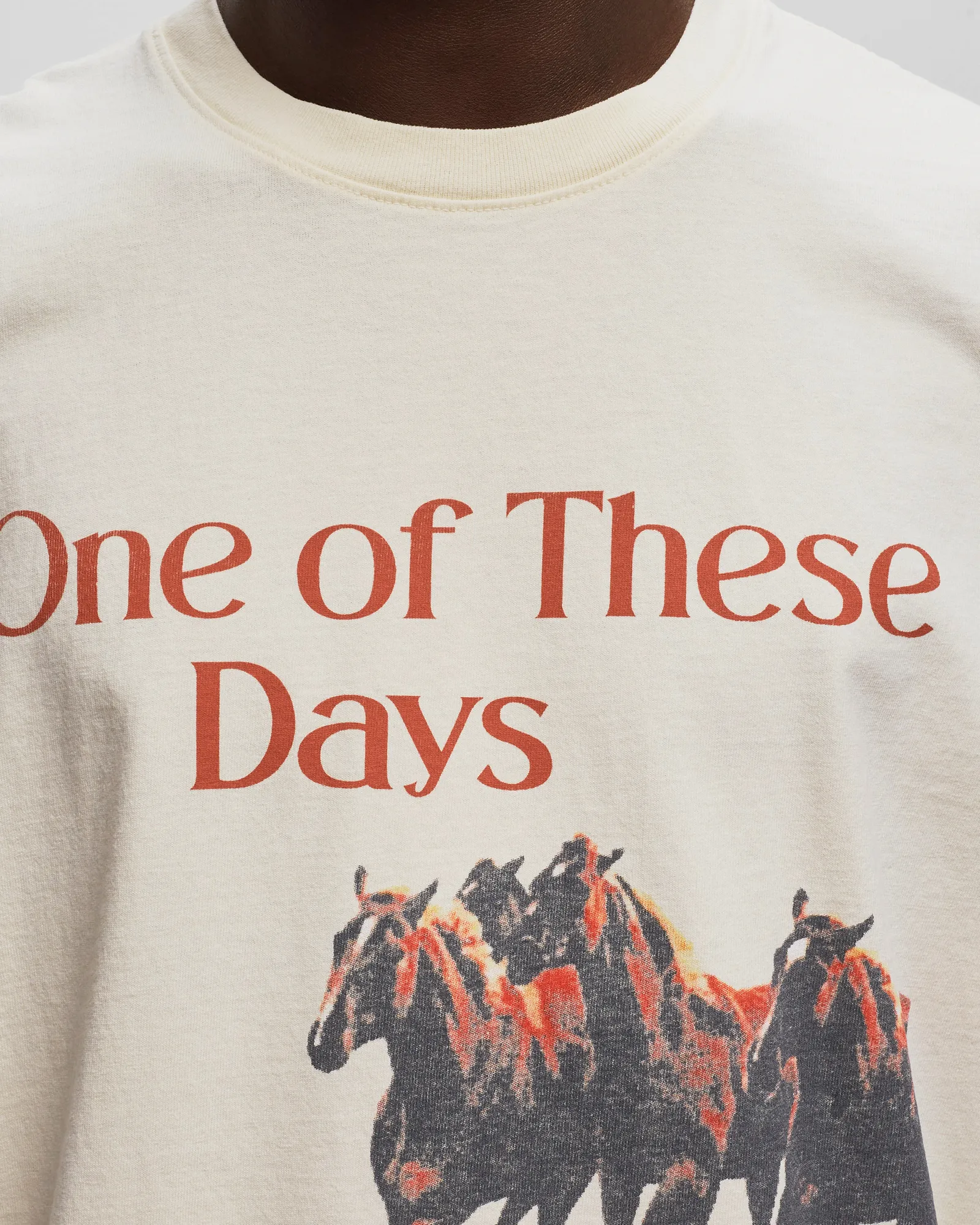 WILD HORSES T-SHIRT 3 WILD HORSES T-SHIRT