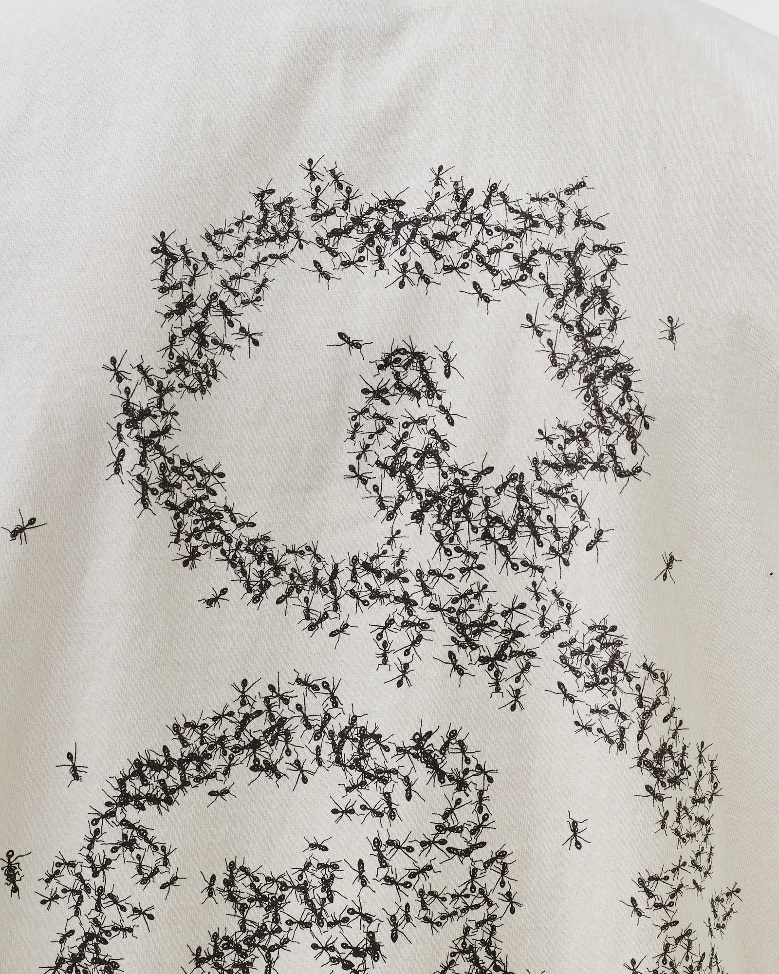 Ants Pig. Dyed Tee 5 Ants Pig. Dyed Tee